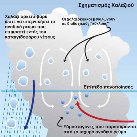pos sximatizetai to xalazi sta kataigidofora nefi 01