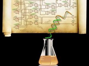 Υπολογιστής από DNA