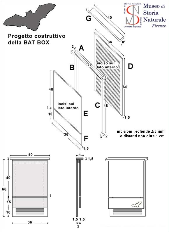 Bat-box
