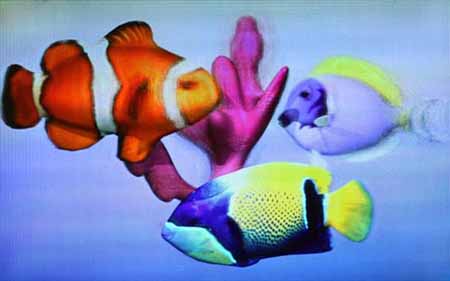3d προβολή...