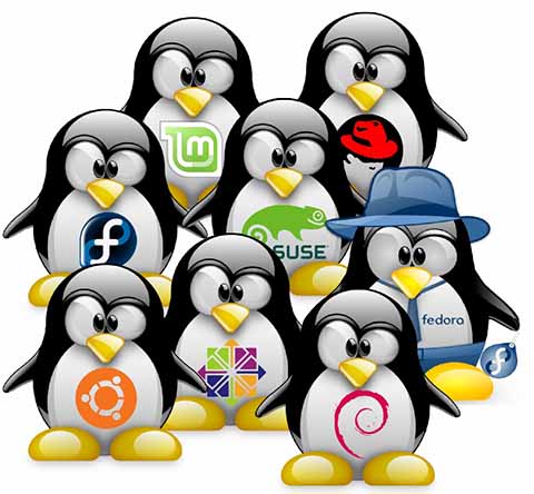 Linux
